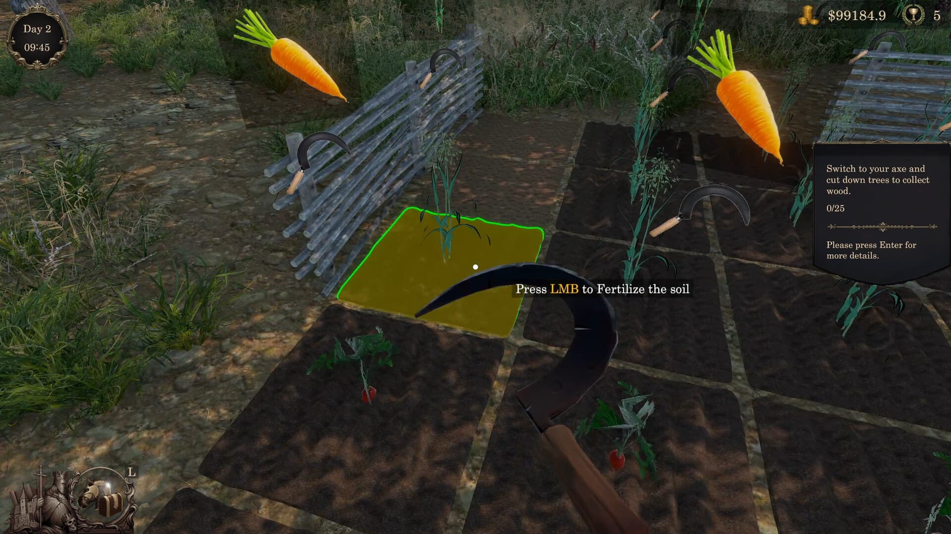 A curved hand tool is held over a fertilized crop field with carrots growing in rows.