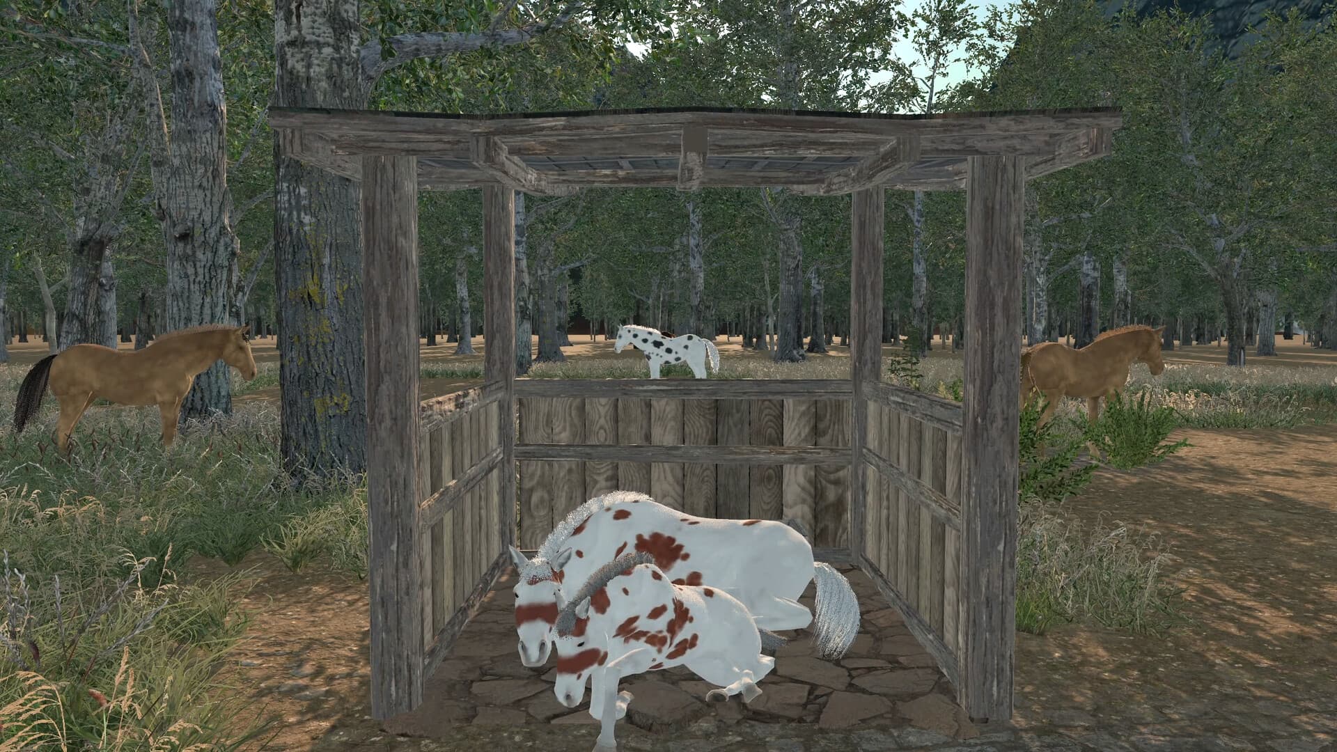 A foal rests inside a wooden shelter while horses stand in the surrounding yard.