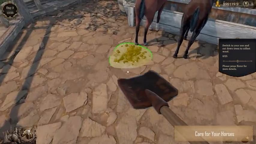 A shovel and a horse are visible beside manure in a stable yard.